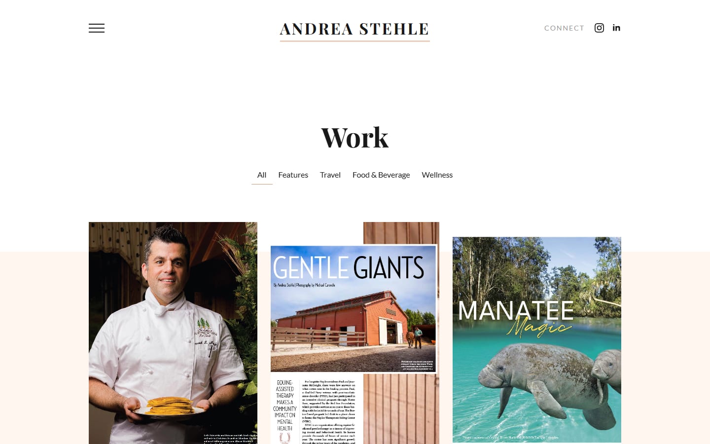 Andrea Stehle work gallery